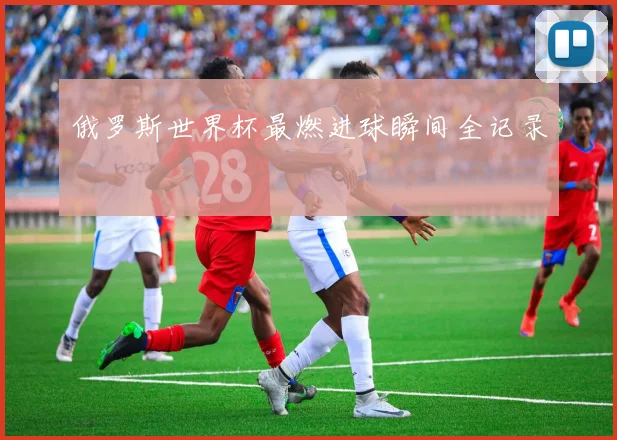 俄罗斯世界杯最燃进球瞬间全记录