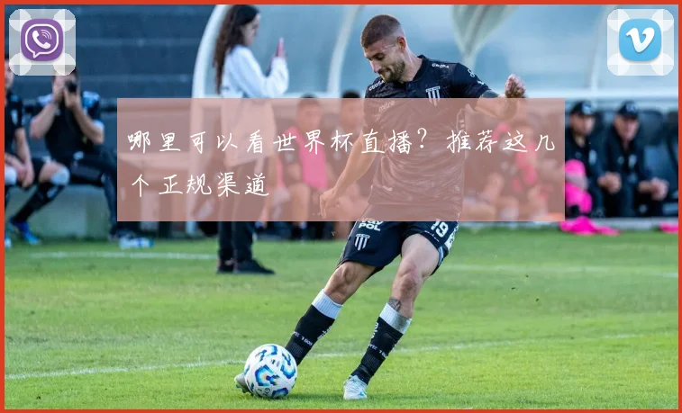 哪里可以看世界杯直播?推荐这几个正规渠道