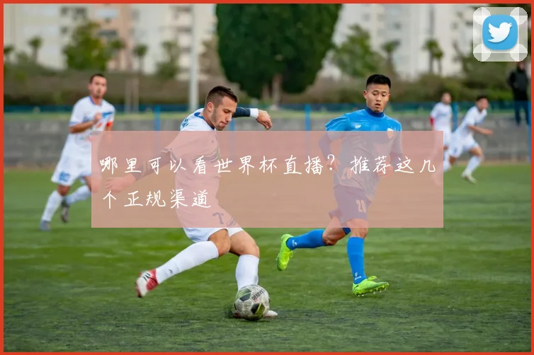 哪里可以看世界杯直播?推荐这几个正规渠道