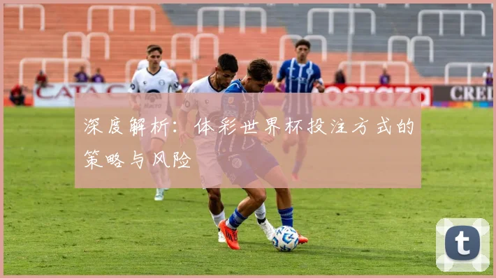 深度解析:体彩世界杯投注方式的策略与风险