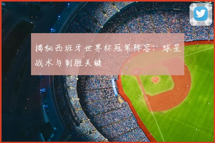 揭秘西班牙世界杯冠军阵容:球星战术与制胜关键