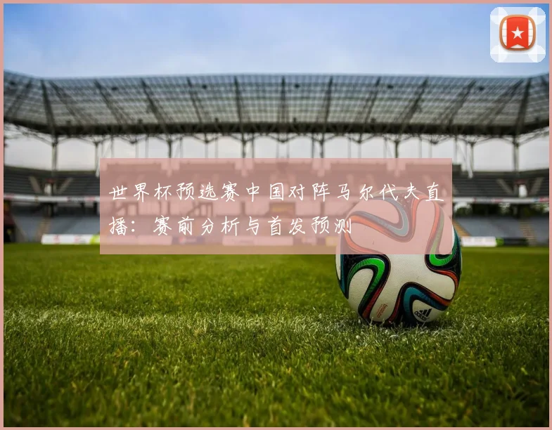 世界杯预选赛中国对阵马尔代夫直播：赛前分析与首发预测